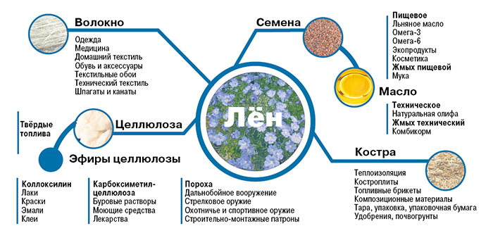 ТОП лучших брендов горнолыжной одежды – geolocators.ru